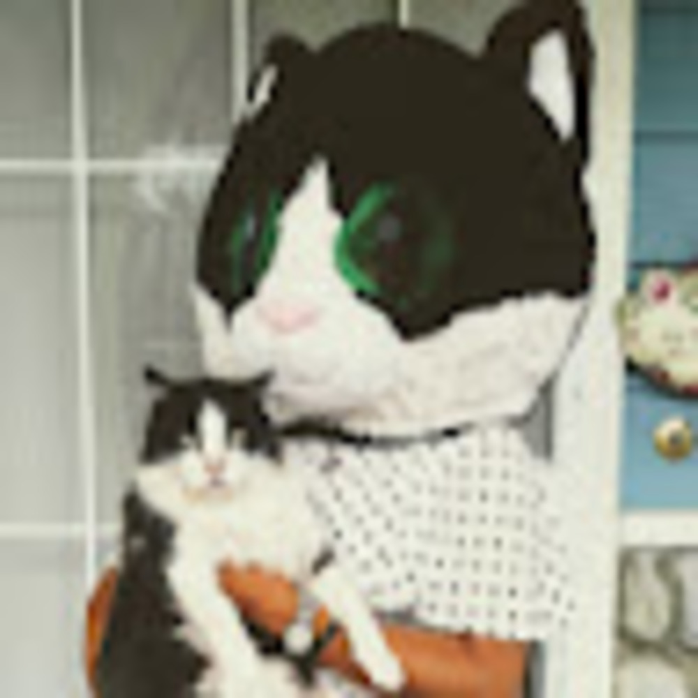 Meet your Posher, Raquel